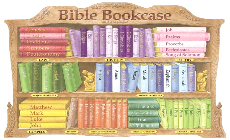 Books Of The Bible Bookshelf